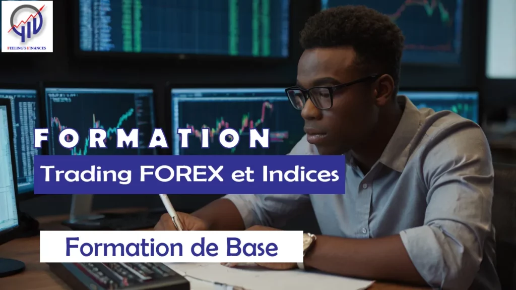Formation de Base en Trading FOREX et Indices FEELING'S FINANCES
